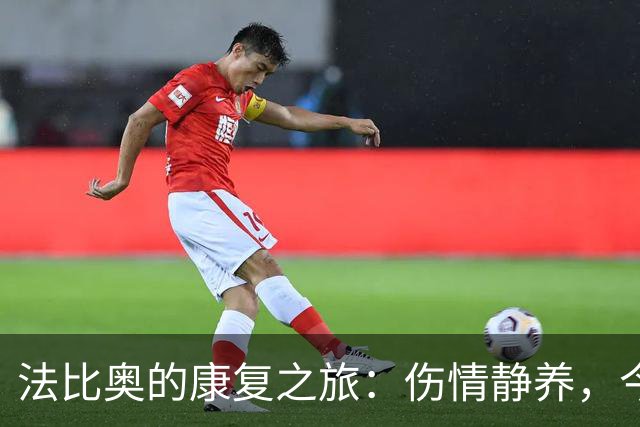 法比奥的康复之旅：伤情静养，今晚启程回家